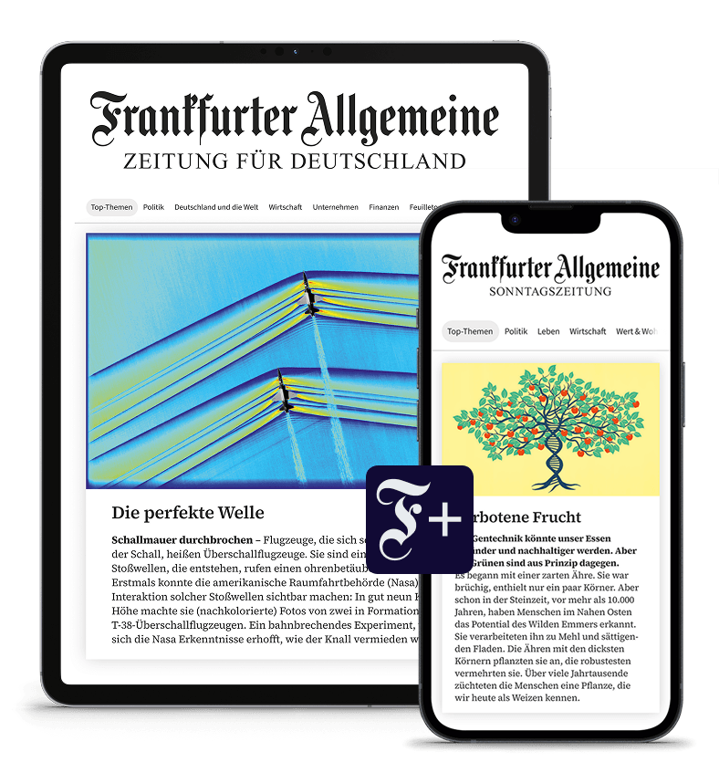 FAZ FAS Bundestagswahl