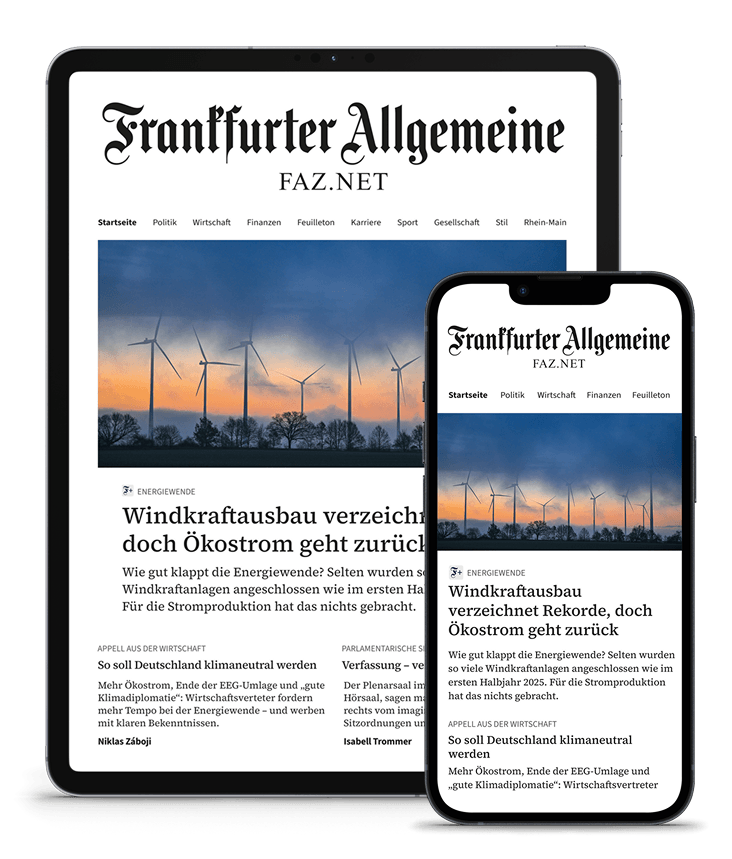 FAZ+ Sommer